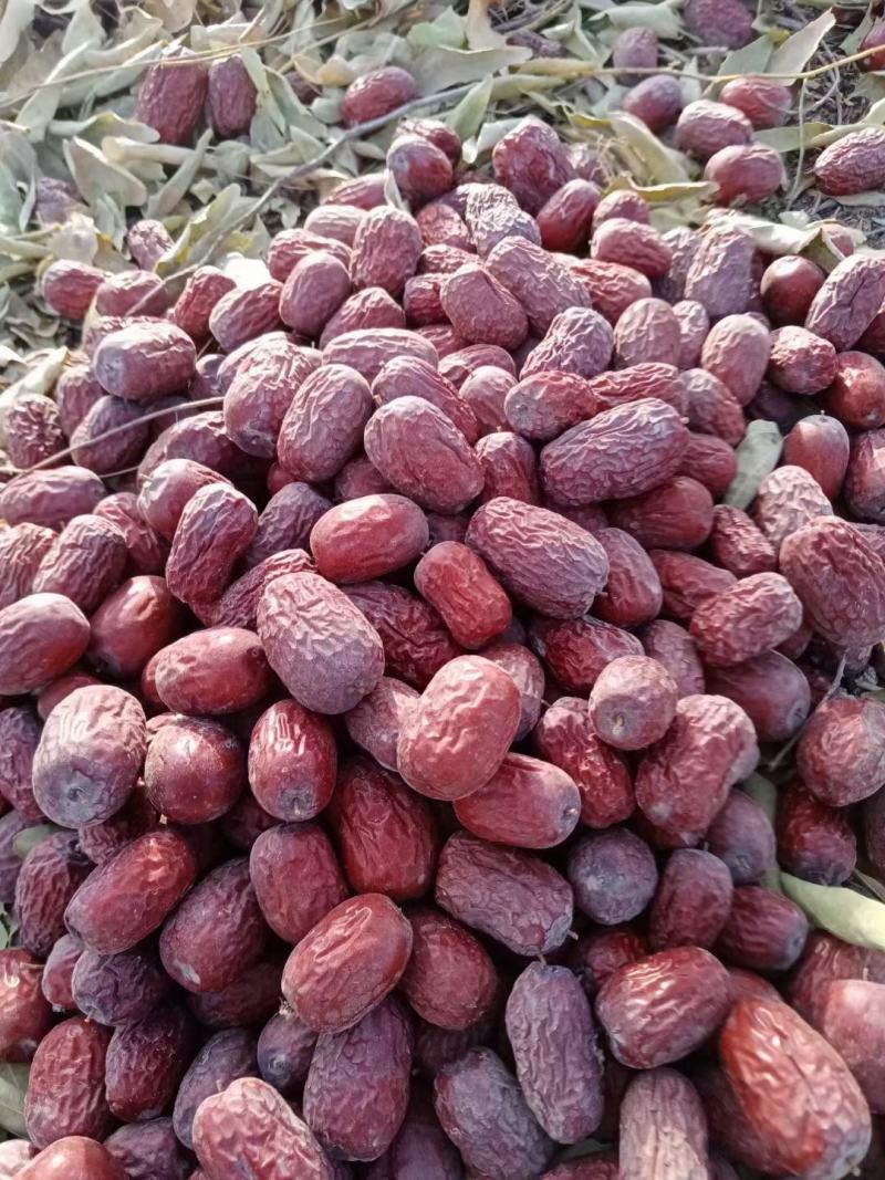 阿克苏红枣